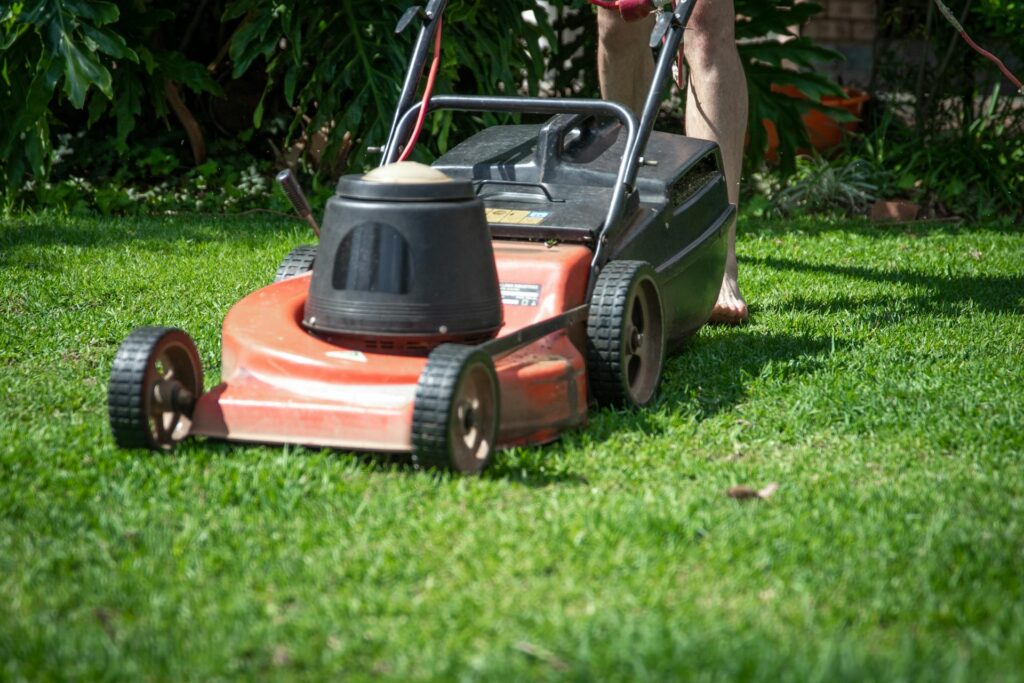Garden and yard cleaning